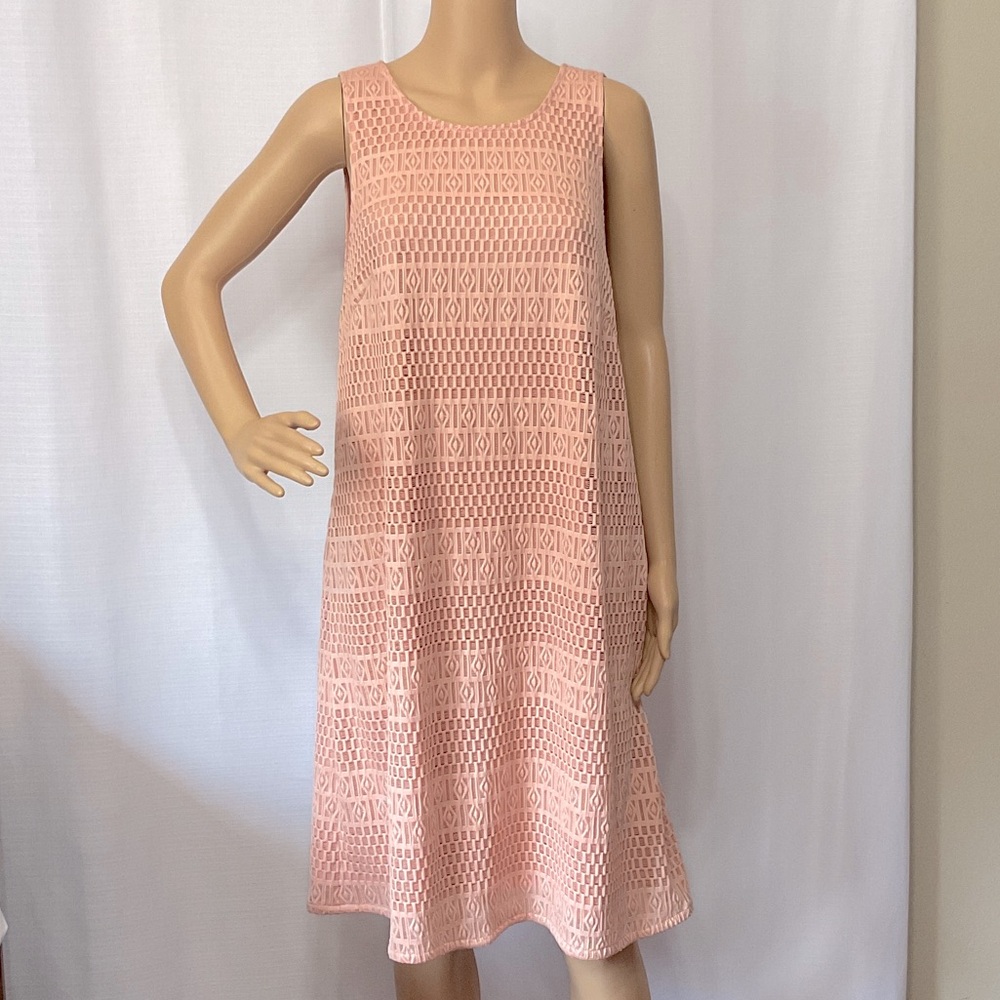 Adrianna Papell Size 12 Rose Blush Lace Trim Short Midi Sleeveless Dress NWT